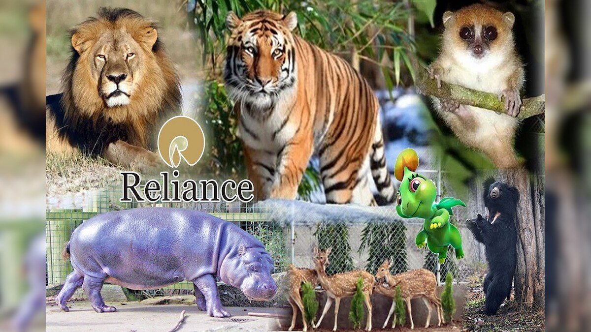 Reliance will build the worlds largest zoo in Jamnagar ba ప్రపంచంలో