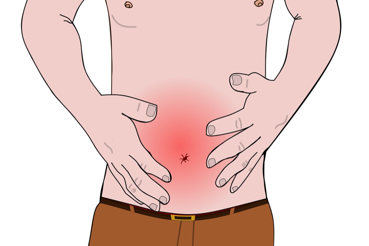  మలబద్దకాన్ని తగ్గిస్తాయి. గసగసాల్లో ఫైబర్ (పీచు పదార్థం) ఎక్కువ. ఇది పేగులు బాగా కదిలేలా చేస్తుంది. తద్వారా మలబద్దకాన్ని తగ్గిస్తుంది.