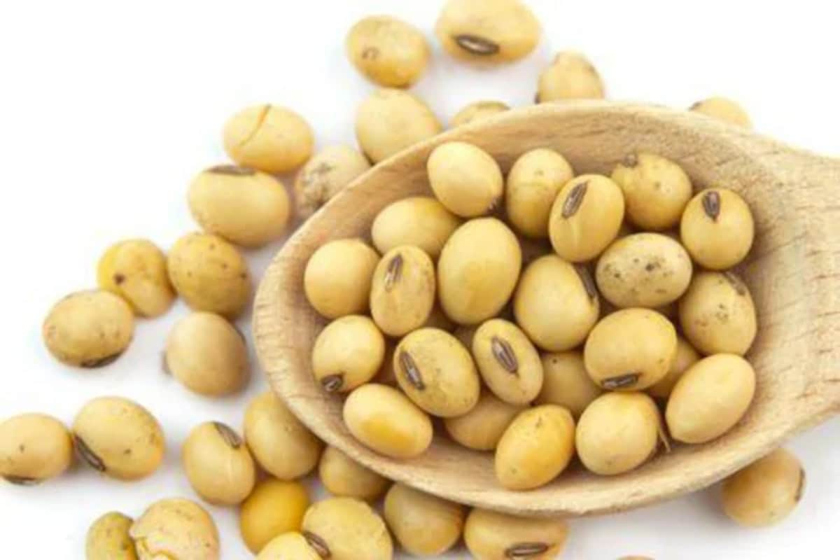 Bird flu, Avian Influenza, Eggs, Chicken, Protein from vegetarian, Vegetarian sources of protein, Paneer, Soya bean, బర్డ్ఫ్లూ, ప్రోటీన్లు, పనీర్, గుడ్లు