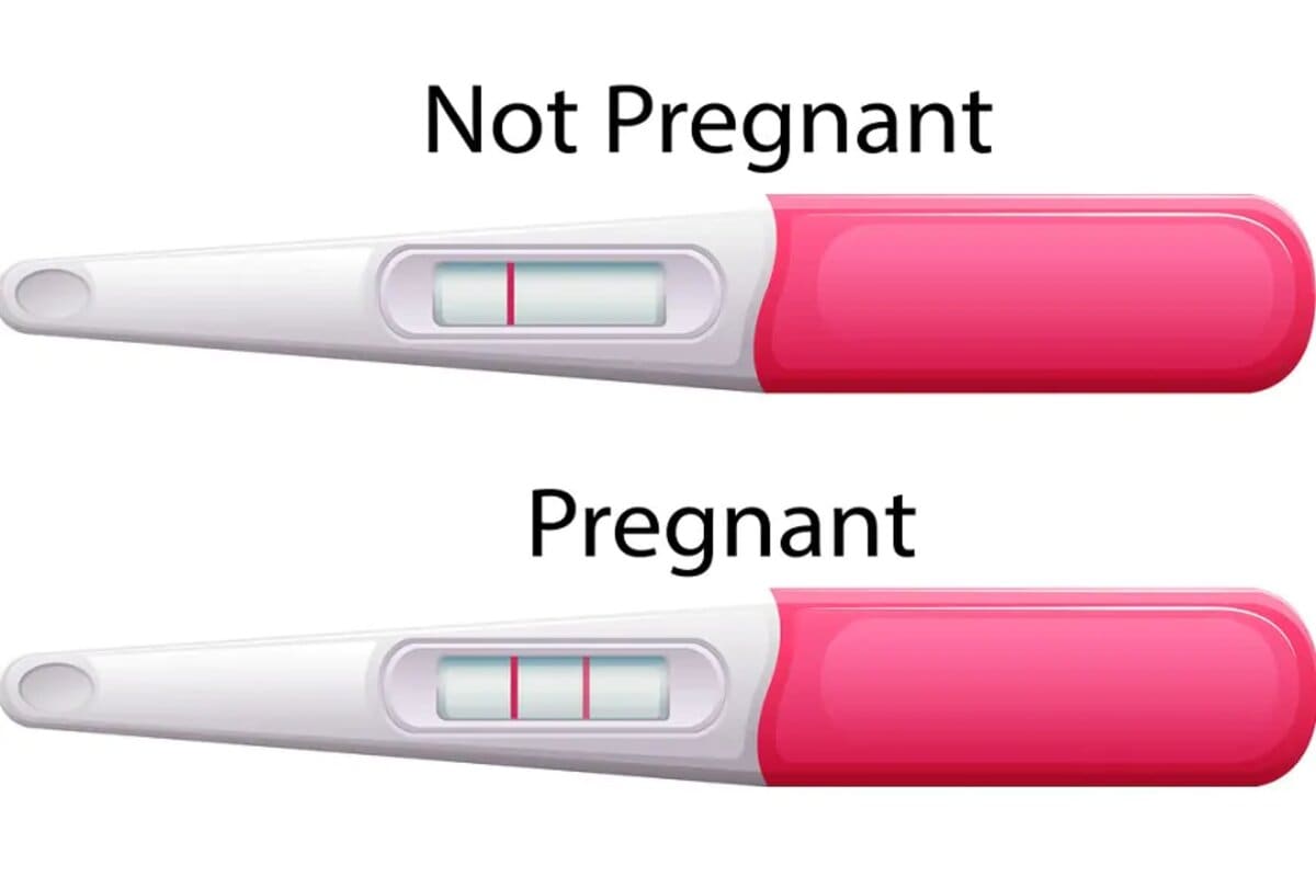 Follow These For Pregnancy స త న క స ప రయత న స త న న ర అయ త ఈ స చనల మ క సమ