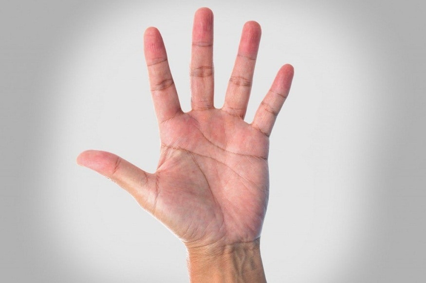  చేతి గీతల్లో ముక్కోణం ఆకారం (triangular in shape) ఉంటే… ఆ వ్యక్తి నీతి, నిజాయితీ కలిగిన వారని అర్థం. అంతేకాదు… చాలా తెలివైన వారు, నాలెడ్జ్ బాగా సంపాదించుకోగలరు. ఇలాంటి వారు ఒకటి కంటే ఎక్కువ ఇళ్లను నిర్మించుకోగలరు. (ప్రతీకాత్మక చిత్రం)