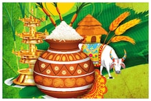 Sankranthi Festival: ఇంటింటా సంక్రాంతి.., అంబరాన్నంటుతున్న సంబరాలు