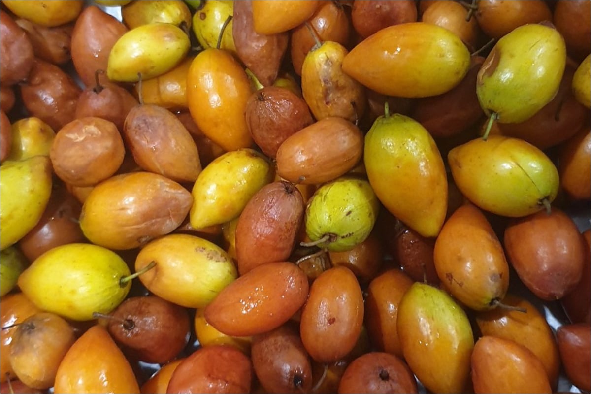 bontha pandu fruit