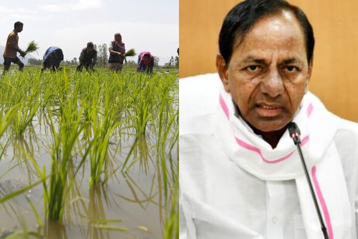 Rythu Bandhu: త్వరలోనే రైతుల ఖాతాల్లోకి రైతుబంధు డబ్బులు.. దరఖాస్తుకు ...