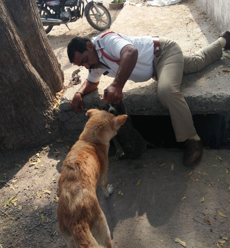 Traffic constable Help to little dog came out from drainage in Karimnagar మురికి కాలవ పక్కనే నిల్చుని అరుస్తున్న ఓ శునకం.. ఏంటా అని చూసేందుకు వెళ్లిన కానిస్టేబుల్.. చివరకు..