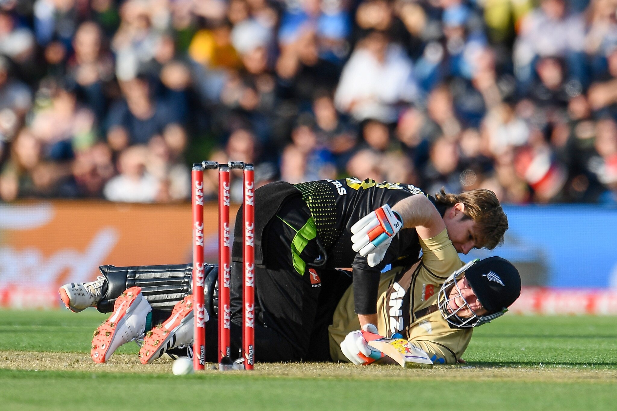  న్యూజిలాండ్‌ బ్యాట్స్‌మెన్ టిమ్ సీఫెర్ట్.. ఆస్ట్రేలియా ఆడమ్ జాంపాను ఢికొన్న సందర్భంలో (John Davidson/Photosport via AP)