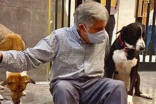 Ratan Tata : ఆ పెంపుడు కుక్కకి రతన్ టాటా  గోవా  అని ఎందుకు పేరు పెట్టారో తెలుసా..