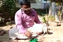 Viral Video: గాయపడిన గుడ్లగూబను కాపాడిన వ్యక్తి.. ప్రశంసల్లో ముంచెత్తుతున్న నెటిజన్లు