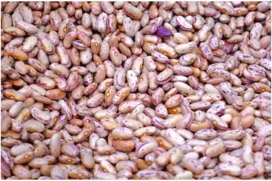  Health Tips: చూడటానికి పింటో బీన్స్ కూడా రెగ్యులర్ బీన్స్‌లాగే కనిపిస్తాయి. కాకపోతే ఇవి ప్రత్యేక రకం. ఈ గింజలు ఎరుపు, గోధుమ రంగు తొక్కతో ఉంటాయి. వండినప్పుడు కొద్దిగా గోధుమ, పాలిపోయిన గులాబీ రంగులో కనిపిస్తాయి. ఇవి మంచి రుచితో, వంటడానికి ఎంతో ఈజీగా ఉంటాయి. వీటిలో ఫుల్లుగా విటమిన్స్, మినరల్స్ ఉంటాయి. అందువల్ల వీటిని తింటే ఎంతో ఆరోగ్యం. (ప్రతీకాత్మక చిత్రం)