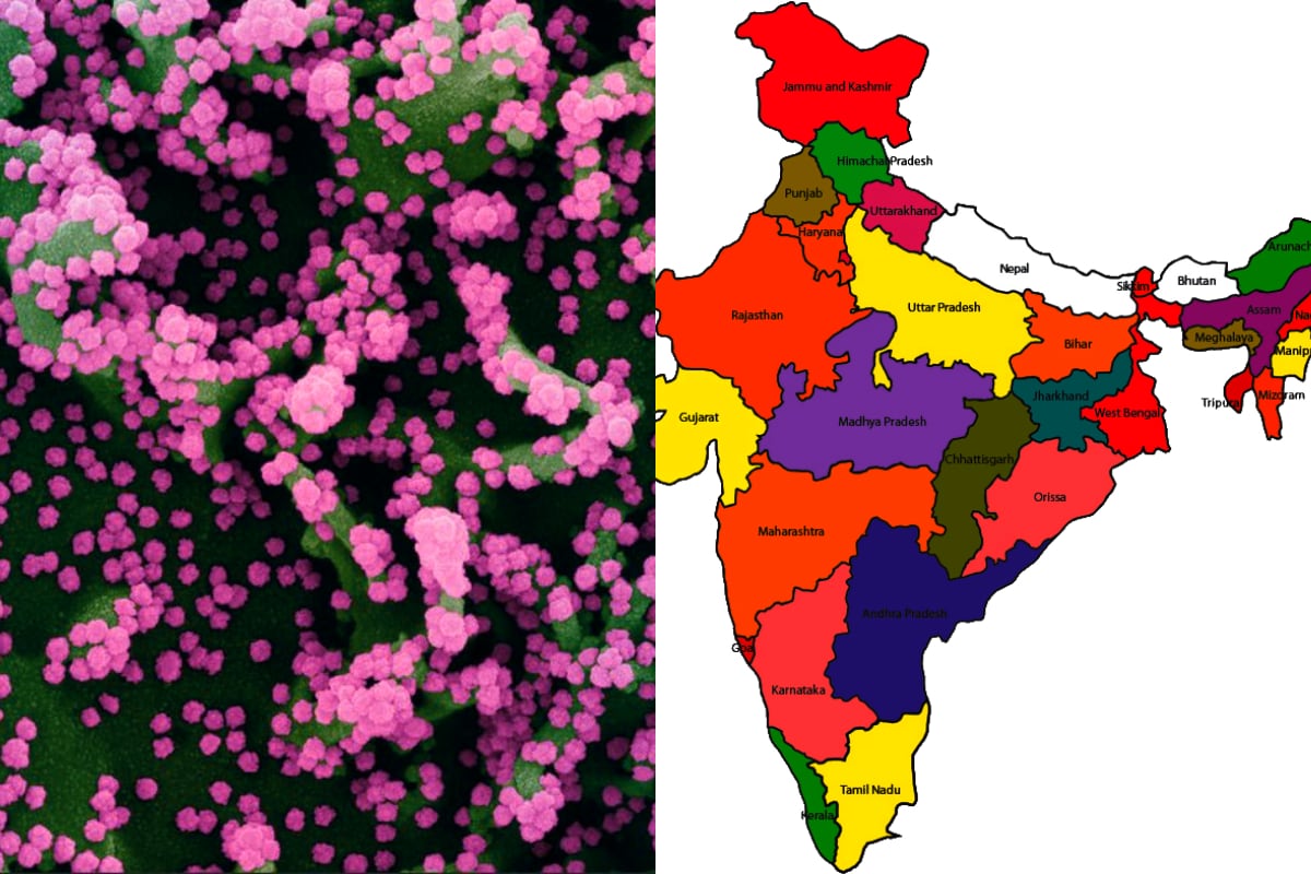 India Covid 19: Scientific research occasionally shocks us. Tells unbelievable facts. Our Center for Cellular and Molecular Biology ... Is there a CCMB ... The same says that there are 7,569 types of corona viruses in India. Of all the varieties ... all are almost identical. I mean ... there are millions of people in our country ... to whom we all belong ... but everyone has two arms, two eyes, two legs. Also ... these viruses are all the same. But ... there are small differences between them. So divide them ... Scientists have concluded that there are many types. (image credit - NIAID) India Covid 19: Scientific research occasionally shocks us. Tells unbelievable facts. Our Center for Cellular and Molecular Biology ... Is there a CCMB ... The same says that there are 7,569 types of corona viruses in India. Of all the varieties ... all are almost identical. I mean ... there are millions of people in our country ... to whom we all belong ... but everyone has two arms, two eyes, two legs. Also ... these viruses are all the same. But ... there are small differences between them. So divide them ... Scientists have concluded that there are many types. (image credit - NIAID)
