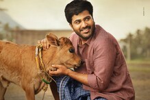 ‘శ్రీకారం’ క్లోజింగ్ కలెక్షన్స్.. శర్వానంద్కు వరసగా 4వ డిజాస్టర్.. ‘శ్రీకారం’ క్లోజింగ్ కలెక్షన్స్.. శర్వానంద్కు వరసగా 4వ డిజాస్టర్..