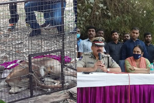 నిజామాబాద్‌లో కృష్ట జింకల వేట... హైదరాబాద్‌లో ముగ్గురు వేటగాళ్ల అరెస్ట్