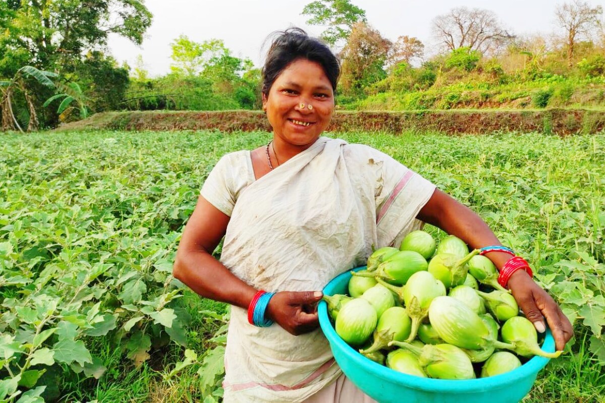  విత్తనాలు నాటే కాలం: చలికాలం, వేసవికాలంలో వంకాయ మొక్కలు బాగా పెరుగుతాయి. చలికాలానికి సంబంధించి... జూన్ నుంచి జులై సమయంలో విత్తనాలు నాటాలి. వేసవి కాలానికి పంట కావాలి అనుకుంటే డిసెంబర్ నుంచి జనవరి సమయంలో విత్తనాలు నాటాలి. (image credit - twitter)