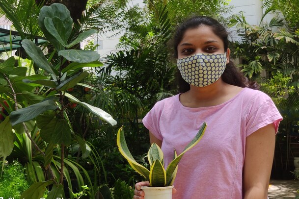 Oxygen Plants: ఇంట్లో ఈ మొక్కలు ఉంటే... కరోనా నుంచి రక్షణ... బోలెడంత ఆక్సిజన్