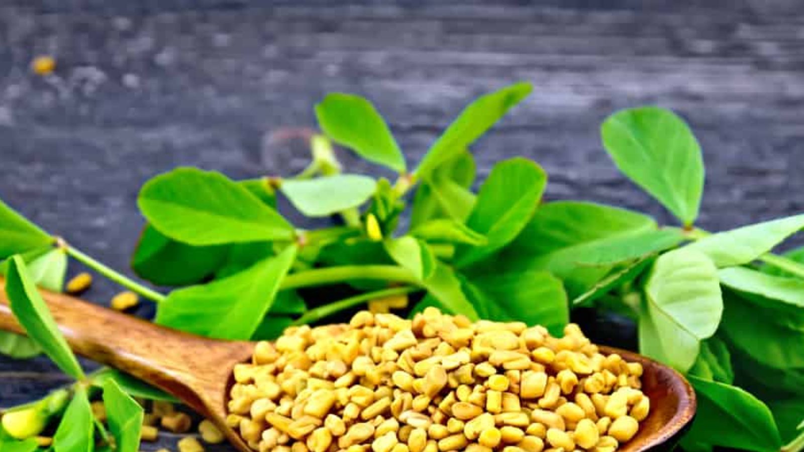 Fenugreek Health Benefits మెంతులతో ఆయుర్వేద చిట్కాలు.. తెలుసుకుంటే ఆరోగ్యమే fenugreek seeds