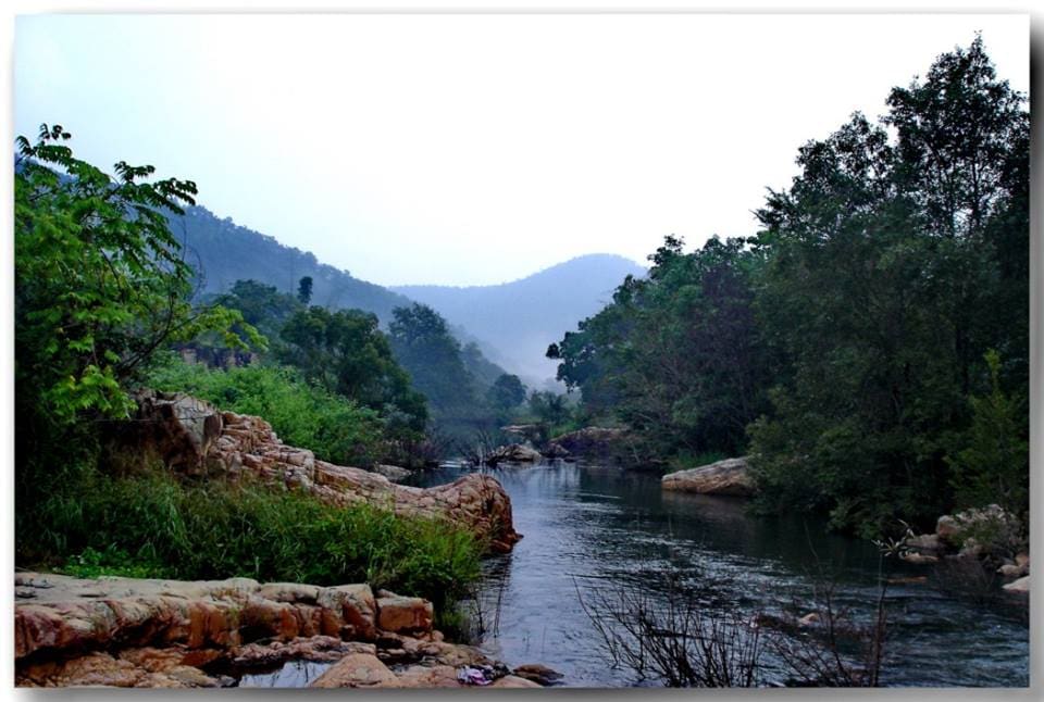 Seshachalam Forest, Tirumala Forest, Seshachalam Forest Fire, Bush Fire in Seshachalam Forest, Tirumala Temple, Tirumala News, Tirupati news, TTD, Tirumala Tirupati Devasthanam, TTD News, Andhra Pradesh News, AP News, Andhra News, Telugu news, శేషాచలం అడవు, తిరుమల అడవులు, శేషాలచలం అడవుల్లో కార్చిచ్చు, తిరుమల ఆలయం, తిరుమల వార్తలు, తిరుపతి వార్తలు, టీటీడీ, తిరుమల తిరుపతి దేవస్థానం, టీటీడీ వార్తలు, ఆంధ్రప్రదేశ్ వార్తలు, ఏపీ వార్తలు, ఆంధ్రా వార్తలు, తెలుగు వార్తలు