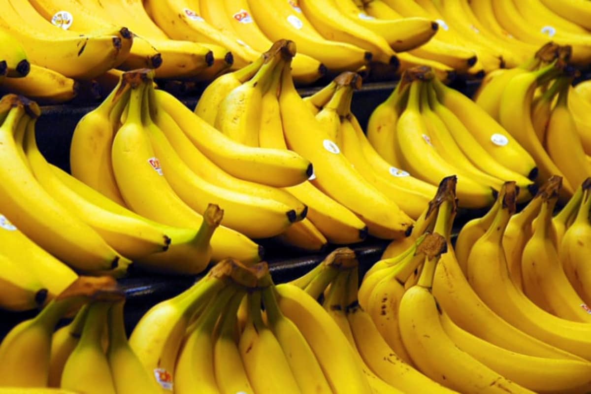  ఈ ప్రపంచ జనాభా ప్రతి సంవత్సరం... వెయ్యి కోట్లకుపైగా అరటిపండ్లను తింటున్నారు. ఎందుకంటే వాటిలో ఉండే విటమిన్లు ఎంతో ఎనర్జీ ఇస్తాయి. కొవ్వు రాదు. ఫైబర్ ఎక్కువ. విటమిన్ సీ, పొటాషియం ఎంతో ఆరోగ్యకరం. అందుకే కొంత మంది భోజనం బదులు అరటి పండ్లు తిని సరిపెట్టుకుంటారు.