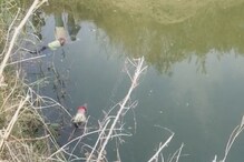 Suicide: పసి మొగ్గలను తుంచిన క్షణికావేశం.. ఇద్దరు పిల్లలతో కలిసి బావిలో దూకి తల్లి ..