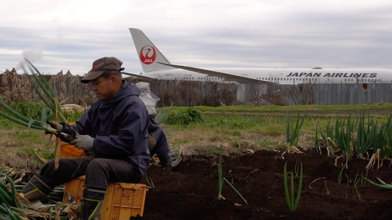  విమానాశ్రయం మధ్యలో ఉన్న ఈ ప్రాంతానికి వెళ్లడానికి కూడా మొదట్లో దారిని మూసేశారు. అయితే తన ఇంటికి దారిని మూసేశారని షిటో కేసు వేయడంతో దారిని వదిలారు. రన్‌వేపై నడుచుకుంటూ ఆ వ్యవసాయ క్షేత్రంలోనికి రాకపోకలు సాగిస్తుంటారు. ప్రస్తుతం షిటో ఆ దేశంలో హాట్ టాపిక్. ప్రభుత్వాన్ని ఎదిరించి తమ భూమిని కాపాడుకున్నారనే గౌరవం ఆ కుటుంబం పట్ల ఉన్నది.
