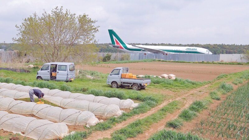  వీకెండ్స్‌లో సమీపంలోని నగరం నుంచి స్నేహితులు, బంధువులు షిటో ఇంటికి వస్తారు. మంచిగా వండుకొని తాగుతూ, డ్యాన్స్‌లు చేస్తూ బాగా ఎంజాయ్ చేస్తుంటారు.