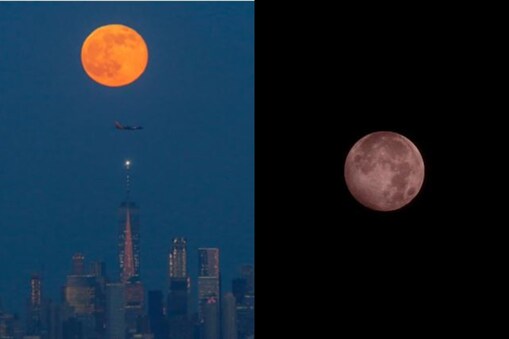 Photo Credit : Getty Images