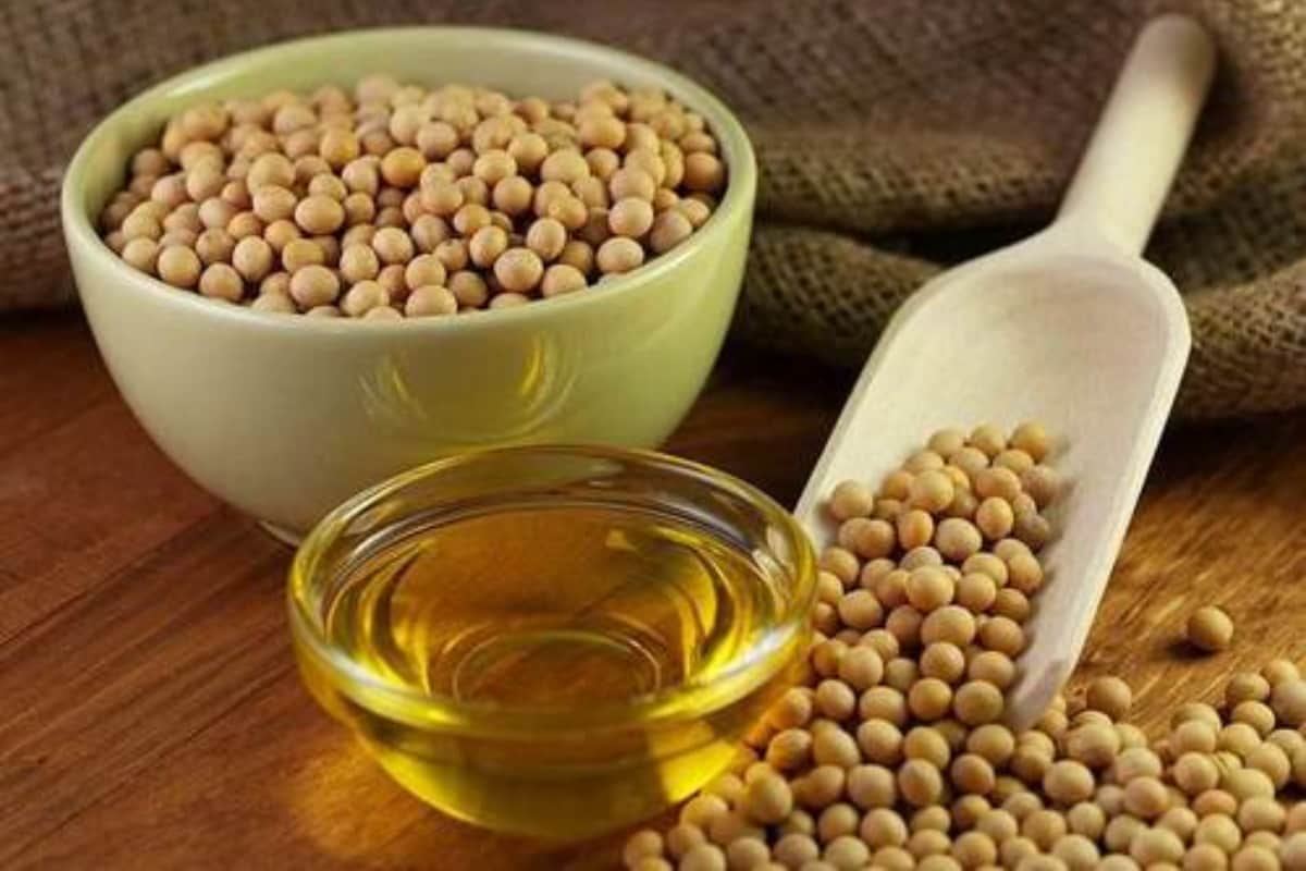 Soybean Oil  Ghaziabad
