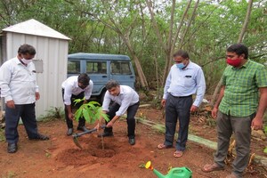 World Environment Day: ఇన్‌స్టిట్యూట్ ఆఫ్ ఫారెస్ట్ బయోడైవర్సిటీ‌లో మొక్కలు నాటిన అధికారులు