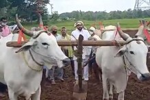 JD Lakshmi Narayana: రాజకీయం వదిలి రైతుగా మారిన జేడీ.. 12 ఎకరాలు కౌలుకు.. ఎందుకో తెలుసా..? JD Lakshmi Narayana: రాజకీయం వదిలి రైతుగా మారిన జేడీ.. 12 ఎకరాలు కౌలుకు.. ఎందుకో తెలుసా..?