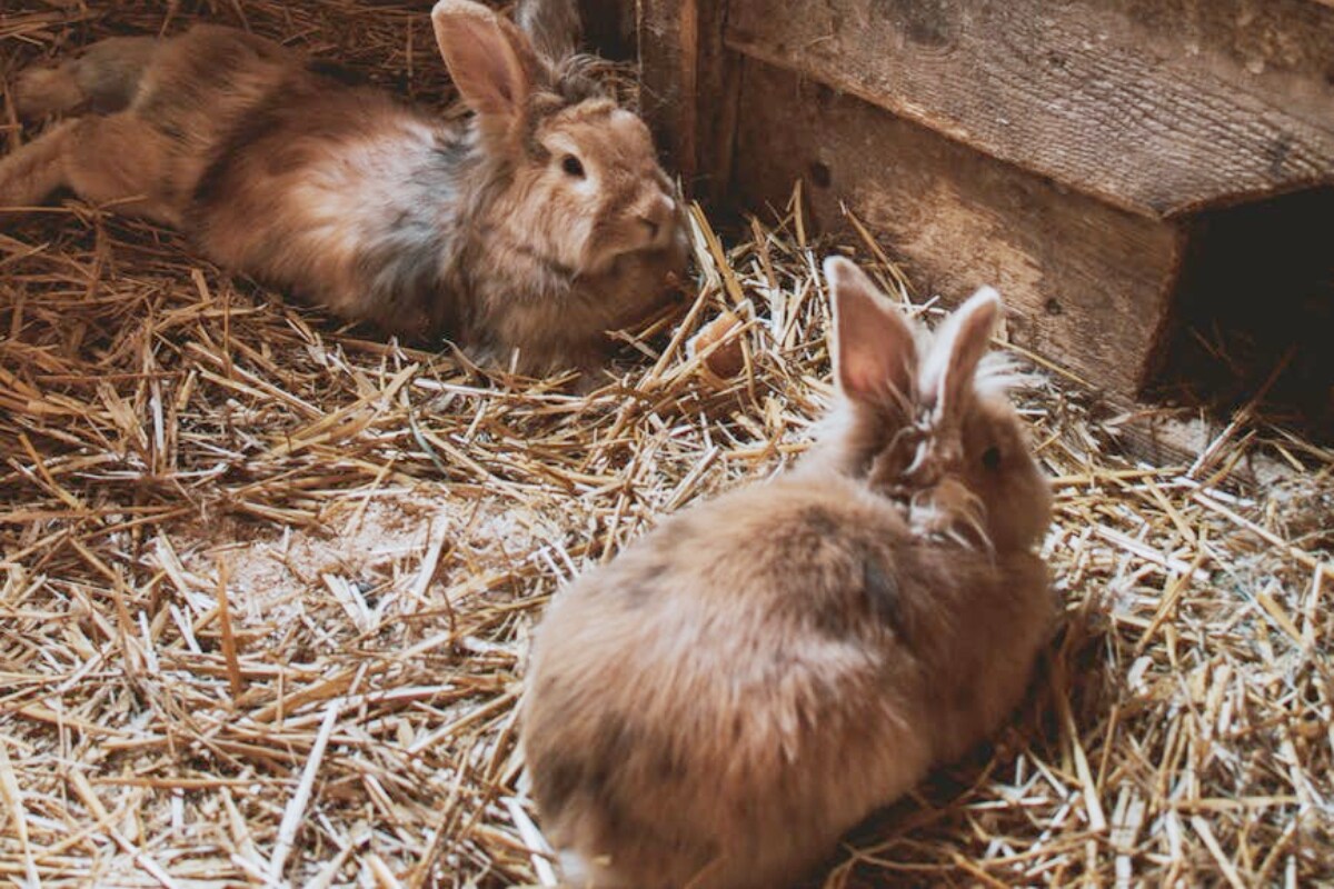  రిజిస్ట్రేషన్ ఇలా: ముందుగా మీ సేవ కేంద్రానికి వెళ్లి... రిజిస్ట్రేషన్ చేయించుకోవాలి. కంపెనీ పేరు చెప్పాలి. ఆ పేరు పై మీకు ఓ ప్యాన్ కార్డ్ ఇస్తారు. నలుగురు కంటే ఎక్కువ సిబ్బందితో వ్యాపారం చేయాలనుకుంటే... లేబర్ సర్టిఫికెట్ పొందాలి. ఈ మీ సేవ కేంద్రం ద్వారా మీ వ్యాపారానికి సంబంధించి పూర్తి వివరాలు పొందవచ్చు. అలాగే... ఎంత ఖర్చవుతుంది, ఎలా ప్రారంభించాలి, యంత్రాలు ఎలా పొందాలి, ప్రభుత్వం ఇచ్చే సబ్సిడీలేంటి... వంటి వివరాలు అన్నీ ఇక్కడ తెలుసుకోవచ్చు. (ప్రతీకాత్మక చిత్రం)