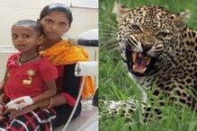 Leopard Attack: చిరుత నోట్లో కూతురు తల.. అడవిలోకి లాక్కెళ్లేందుకు ప్రయత్నిస్తుండగా..
