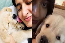 కుక్కలతో టాలీవుడ్ హీరోయిన్లు.. చూస్తే ఫిదా కావాల్సిందే! కుక్కలతో టాలీవుడ్ హీరోయిన్లు.. చూస్తే ఫిదా కావాల్సిందే!