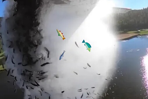 Video: ఆకాశం నుంచి చేపలు.. (image credit - 