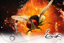 Eega @ 9 years: రాజమౌళి ‘ఈగ’ సినిమాకు 9 ఏళ్ళు.. బాక్సాఫీస్ దగ్గర సంచలనం..