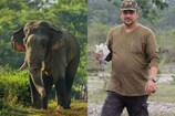 Elephants: ఏనుగుల పాలిట దైవంగా మారిన స్కూల్ టీచర్.. ఏం చేశాడంటే..