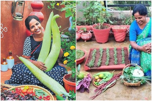 టెర్రస్ గార్డెన్ లో లీల
