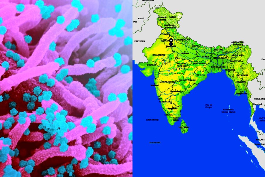 India Covid: ఇండియాలో కొత్తగా 25,467 పాజిటివ్ కేసులు వచ్చాయి. మొత్తం కేసుల సంఖ్య 3,24,74,773కి చేరింది. దేశంలో కరోనాతో కొత్తగా 354 మంది చనిపోయారు. మొత్తం మరణాల సంఖ్య 4,35,110కి చేరింది. మరణాల రేటు 1.3 శాతంగా ఉంది. ప్రపంచ దేశాల్లో ఇది 2.09 శాతంగా ఉంది. (image credit - NIAID)