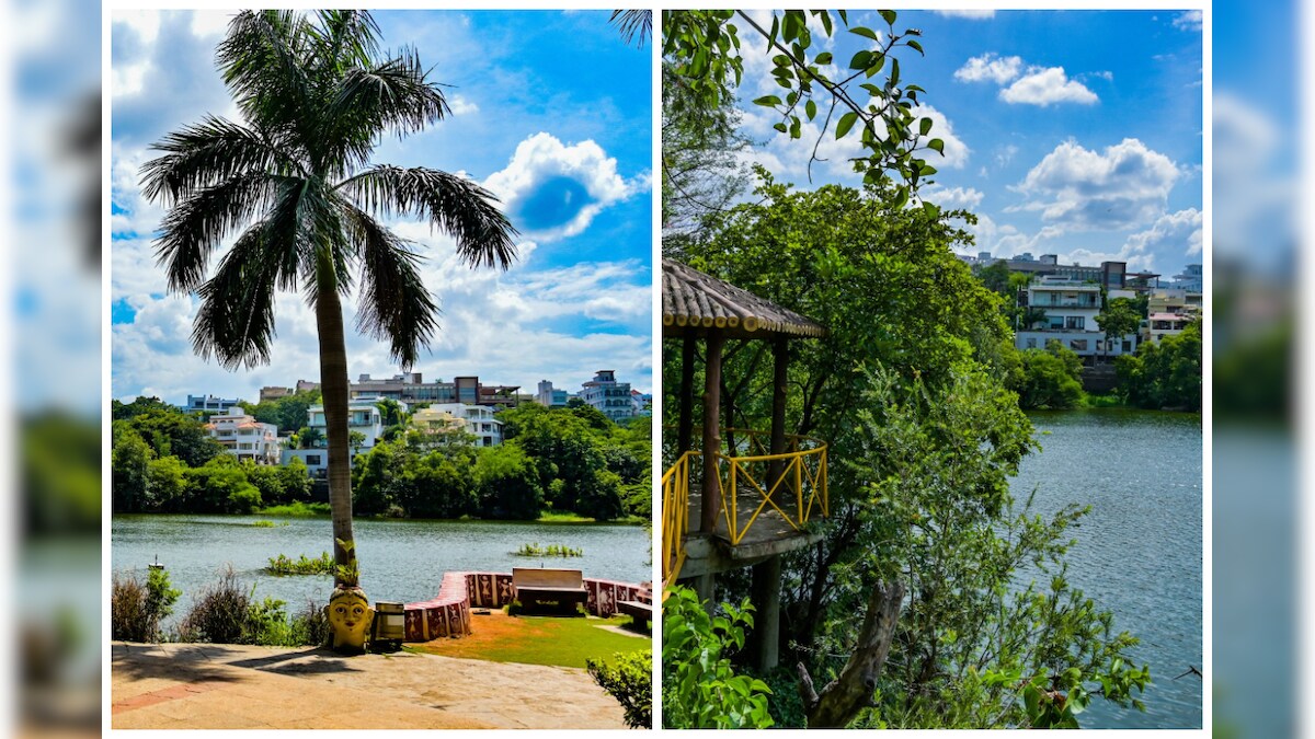 Lotus Pond park ఈ ప్రకృతి అందాలను చూశారా? కేరళ కాదు.. మన హైదరాబాద్