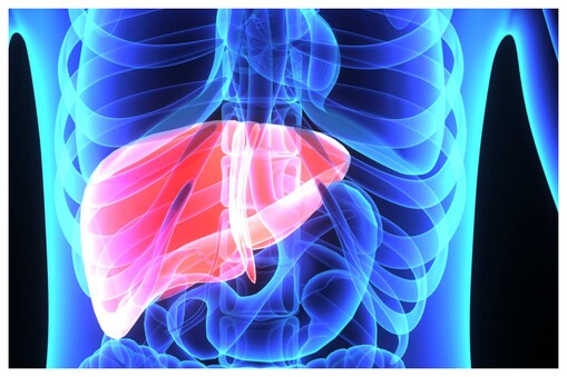 Health: ఫ్యాటీలివర్‌ 