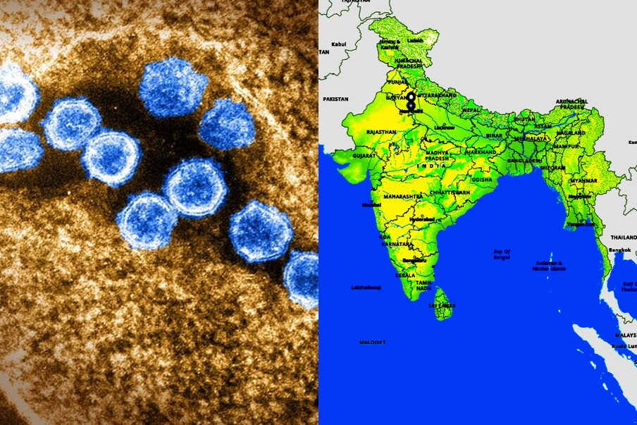  India Corona cases: భారత్‌లో గడిచిన 24 గంటల్లో 8,895 కరోనా కేసులు నమోదయ్యాయి. నిన్న కోవిడ్ నుంచి కొత్తగా 8,190 మంది కోలుకున్నారు. 2,796 మరణాలు నమోదయ్యాయి. ఒక్కరోజే ఇన్ని మరణాలు నమోదవడం ఆందోళన కలిగిస్తోంది. (ప్రతీకాత్మక చిత్రం)