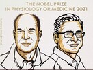 Nobel Prize: వైద్యశాస్త్రంలో నోబెల్.. స్పర్శ, ఉష్ణోగ్రతను ఎలా అనుభూతి చెందుతామంటే