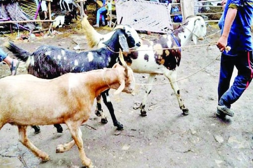 ప్రతీకాత్మక చిత్రం