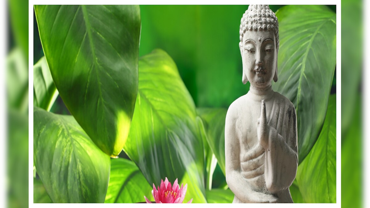 Feng Shui Tips ఈ 5 బ్రాడ్‌లీఫ్‌ ప్లాంట్స్‌ ఇంట్లో పెట్టుకుంటే..!