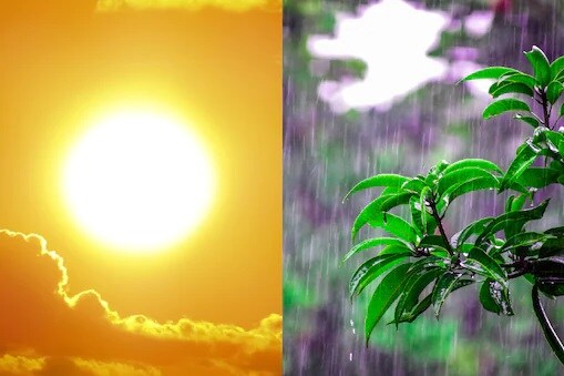 తెలంగాణలో ఎండావాన