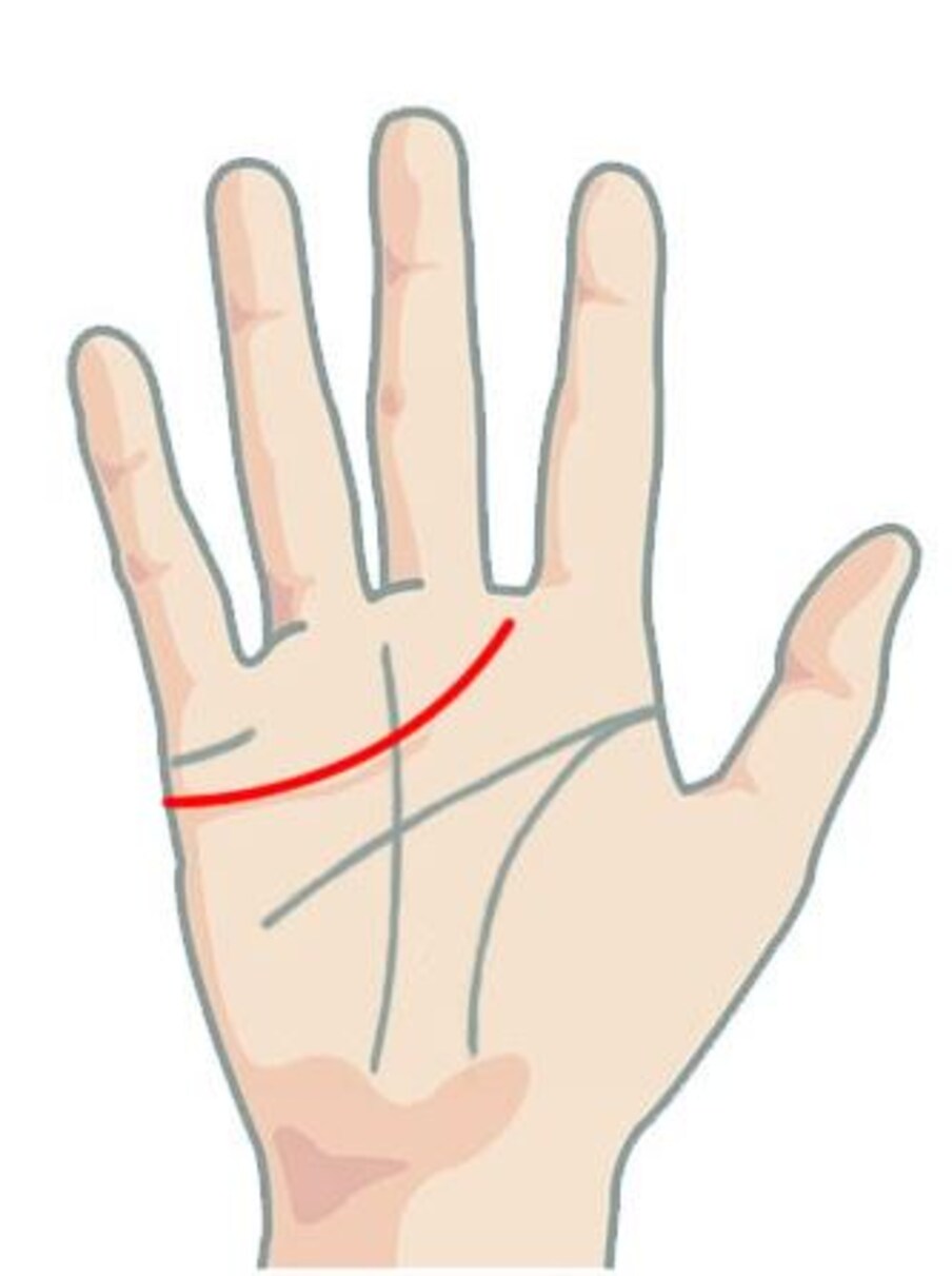 do you know what reveals heart line of palmistry/Palmistry ...