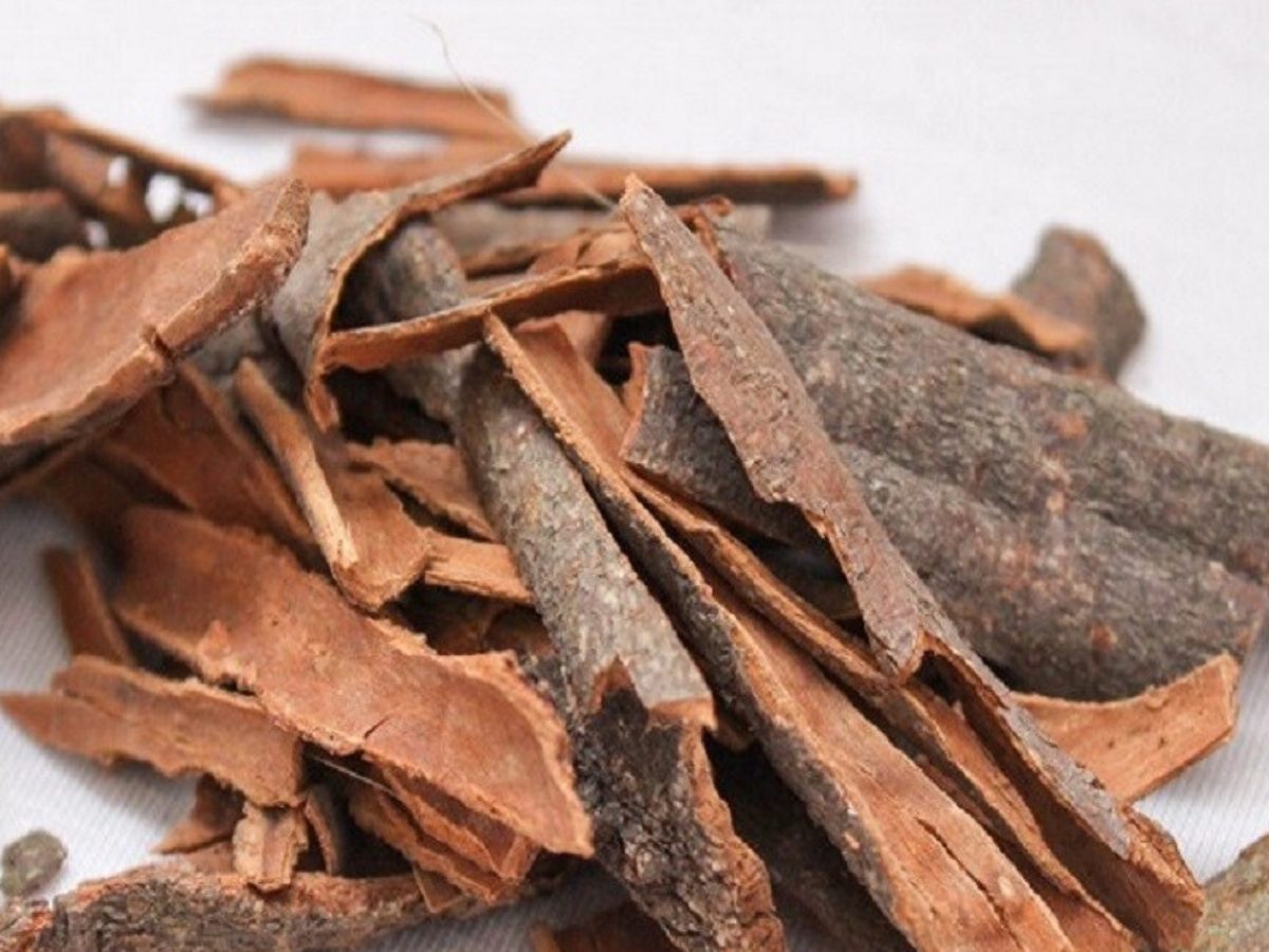 Cinnamon Benefits దాల్చినచెక్కతో ఈ అనారోగ్య సమస్యలన్నీ పరార్.. ఇది