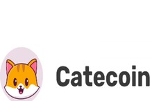 Catecoin: నెలలో 10 వేలను రూ. 2.81 లక్షలు చేసిన క్రిప్టో కరెన్సీ ఇదే..