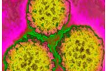 HPV వ్యాక్సిన్‌ 87 శాతం కేన్సర్‌ను తగ్గిస్తుంది: అధ్యయనం!