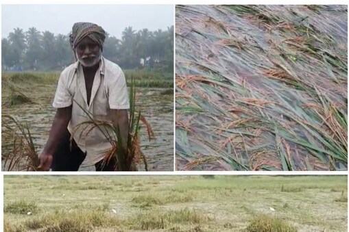వర్షానికి నీట మునిగిన పంటలు