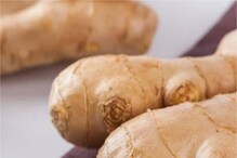 Health Tips: అల్లంతో లాభాలే కాదు.. నష్టాలు కూడా ఉన్నాయి.. అవేంటో తెలుసుకోండి