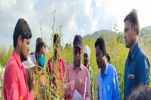 Collector : ఆయన కలెక్టరే అయినా.. పిల్లలు మాత్రం అంగన్‌వాడి స్కూళ్లో..